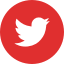 twitter-logo